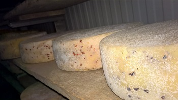 Latteria Monteliana - Immagine